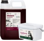 LAB-V EquiDerma - Amestec alimentar complementar pentru cai și ponei, pentru îngrijirea pielii, blănii și copitelor 2 kg + melasă de sfeclă Lab-v 5 l