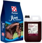 Purina Sport Horse 25 kg + melasă de sfeclă Lab-v 5 l