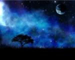 Blueback MAT Fotótapéta, 300 x 200 cm, Fa a csillagok között, Univerzum 9 (BBIMG2221)