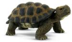 BULLYLAND Figurina Bullyland Broasca Testoasa + 3 ani (BL4007176635537) Figurina