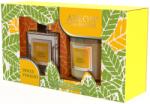 Areon Set lumanari parfumate Areon Classic - Cu bețișoare parfumate, Dolce Viaggio (SHP16_G01)