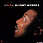 Muddy Waters - The Best of Muddy Waters (Limited Edition) (180 g) (LP) (8436563186196)