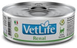  Farmina Farmina Vet Life Feline Renal 24x85 g