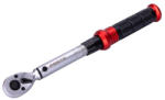 FESTA Cheie dinamometrică 1/4" 5 - 25 Nm (17270F)