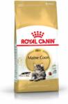 Royal Canin Maine Coon Adult - Maine Coon Felnőtt Macska Száraz Táp 10 Kg (26403)
