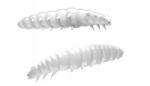 Libra Lures Larva 30 001 Fehér Fokhagyma (5908291086503)