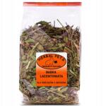 Herbal Pets Szárított Lándzsás Útifű Rágcsálóknak Nyulaknak Gyógynövény Emésztés 70G