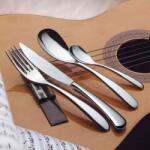 Salvinelli Forever: Cutit masa, inox (CTFFO) Tacam