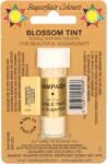 Sugarflair Colours Ehető porfesték Oyster 7 ml - Sugarflair (D102)