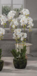AdTrend Orhidee artificiala alba verde in ghiveci 28 x 110 cm (57716)