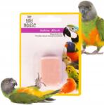 Aquario Mészkő Kocka Jód Ásványi Anyagok Mészkő Madarak Csont Csőr 30G (4904582706045)