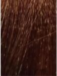ETB Professional Colorverse Vopsea de Păr Permanentă 100ml Culoare Vibrantă și Rezistență de Lungă Durată (EH25091)