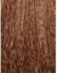 ETB Professional Colorverse Vopsea de Păr Permanentă 100ml Culoare Vibrantă și Rezistență de Lungă Durată (EH25152)