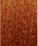 ETB Professional Colorverse Vopsea de Păr Permanentă 100ml Culoare Vibrantă și Rezistență de Lungă Durată (EH25114)