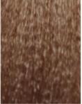 ETB Professional Colorverse Vopsea de Păr Permanentă 100ml Culoare Vibrantă și Rezistență de Lungă Durată (EH25121)