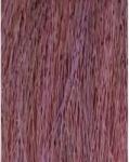 ETB Professional Colorverse Vopsea de Păr Permanentă 100ml Culoare Vibrantă și Rezistență de Lungă Durată (EH25077)