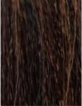 ETB Professional Colorverse Vopsea de Păr Permanentă 100ml Culoare Vibrantă și Rezistență de Lungă Durată (EH25145)