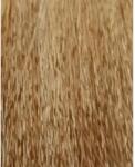 ETB Professional Colorverse Vopsea de Păr Permanentă 100ml Culoare Vibrantă și Rezistență de Lungă Durată (EH25169)