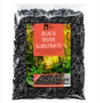 Eco Plant Alom Fekete Akvárium Aljzat Antialga Öblített 2-4MM 1KG Növényi (4904582709343)