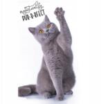 Carbotex Törölköző Macska 30x50 cm macskák (TNL191342)