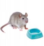 Aquario Rágcsáló Egeres Tál Hörcsög Műanyag Eledel Kicsi 8X8X3.5CM (4904582484707)