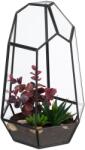 Relaxdays Terariu cu plante din sticlă geometrică Relaxdays (10124618)