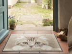 Salonloewe Nosy Cat 050x075 cm szennyfogó lábtörlő