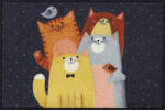 Salonloewe Cat-Quartet 050x075 cm szennyfogó lábtörlő