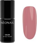 NEONAIL UV Gel Polish Color unghii cu gel folosind UV / lampă cu LED culoare Frozen Roses 7.2 ml