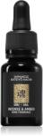 Vila Hermanos Apothecary Japanese Soul ulei parfumat 15 ml