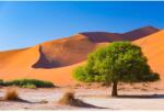 MÉDIA Natura93 fali fotótapéta, öntapadó és mosható, 270 x 200 cm (FOTOTAP1376)