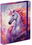 Baagl Plăci pentru caiete școlare A5 Regatul Unicornului (A-33267)