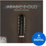 Best Service Arabic E-Oud (Digitális termék)