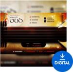 Impact Soundworks Plectra Series 4: Turkish Oud (Produs digital)