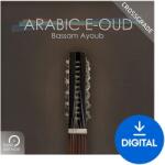 Best Service Arabic E-Oud Crossgrade (Produs digital)