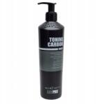 KayPro Carbon tonizáló sampon szénnel 350 ml (8028483257713)