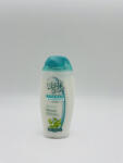 Wash&Go sampon 250 ml Water Mint
