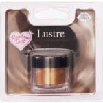 Rainbow Dust Fémes porfesték arany, 3 g - Rainbow Dust (RD2066)