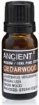 Ancient Wisdom Cédrus illóolaj, Ancient Wisdom, 10ml (EO-50)