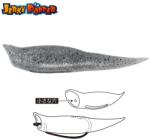 Tiemco Shad Tiemco Jerky Popper ECO Baitfish, 8.3cm, 6g, 3buc/plic (300122030021)
