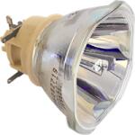 Hitachi DT02081 lampă compatibilă fără modul (DT02081)