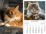 TY 2026 Falinaptár Macskák Kollektív Munka (PLA-912E-30871214)