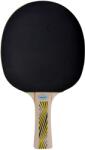 Donic Asztalitenisz Pingpong Ütő Donic Legends 500 Allround (4906215798939)