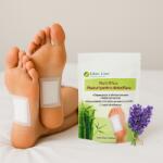 Eden Line Plasturii pentru detoxifiere cu lavandă