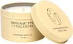 Cereria Mollá Ароматна свещ Cereria Molla - Bergamotto di Calabria, 90 g (TC5530)