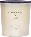 Cereria Mollá Ароматна свещ Cereria Molla - Black Orchid & Lily, 600 g (6643)