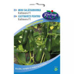 Rédei Kertimag Rédei vetőmag balkonra - Salátauborka (Kalimero F1 - mini)