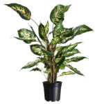 Nature Konténer fekete 6, 3l, 21, 5x24cm