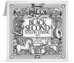 Ernie Ball 1512 Ernesto Palla Nylon 2nd Black