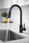 Ruvetti Camellia baterie pentru filtru apă pe picior negru 1004MB (1004MB)